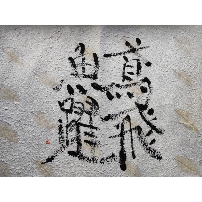 Japanese calligraphy EN PI GYO YAKU