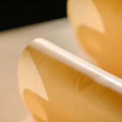 Eco-umidificatore MAST