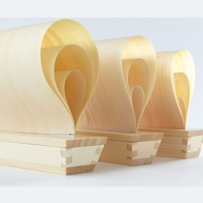 Eco-umidificatore MAST