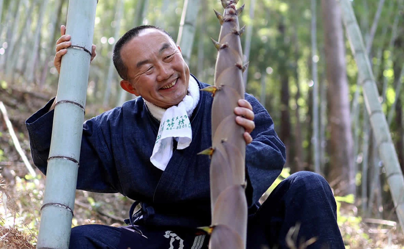 Il bambù miracoloso.